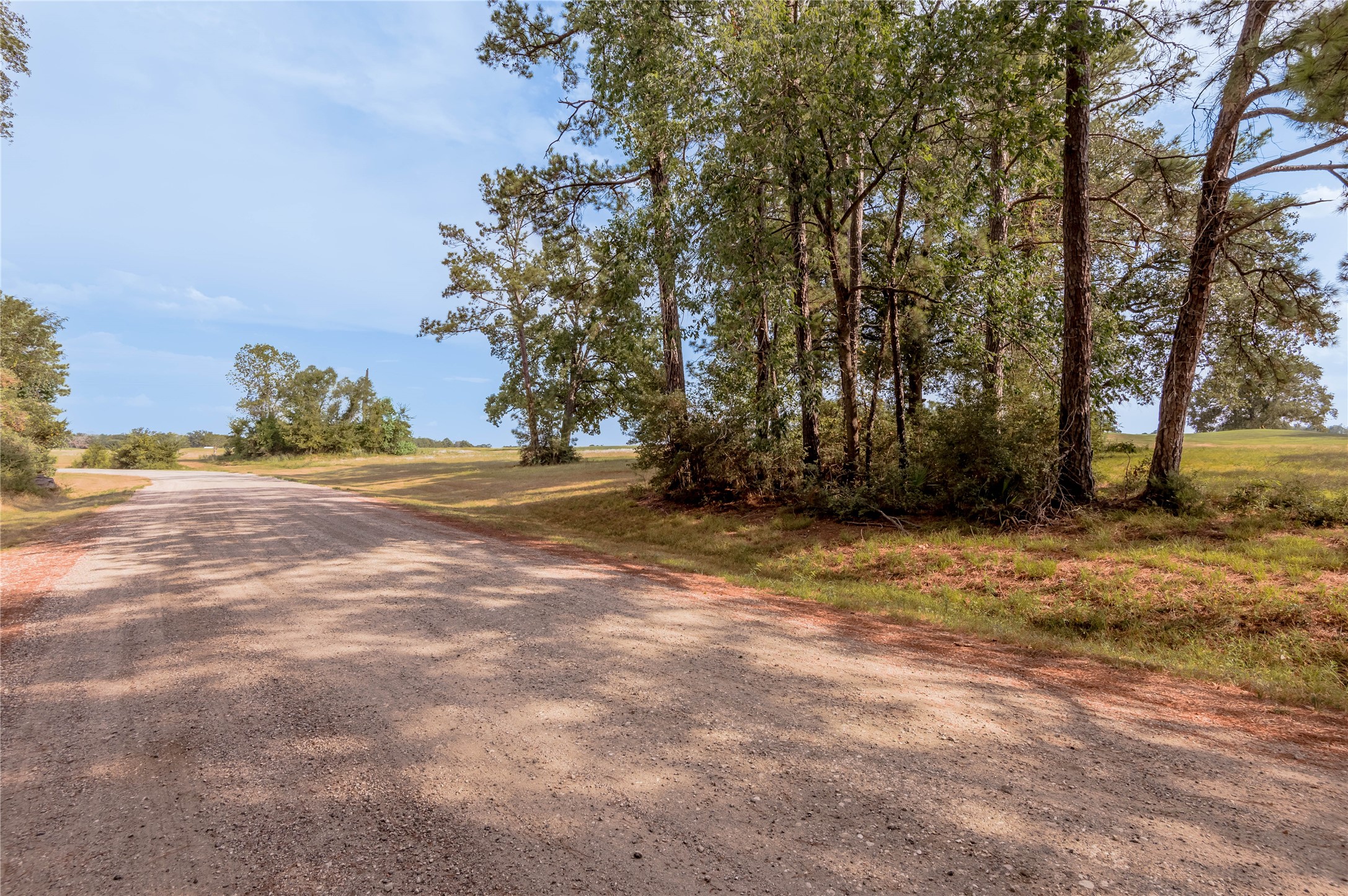 Lot 2 Charleston Street Trinity, TX 75862 - Photo 2 of 25