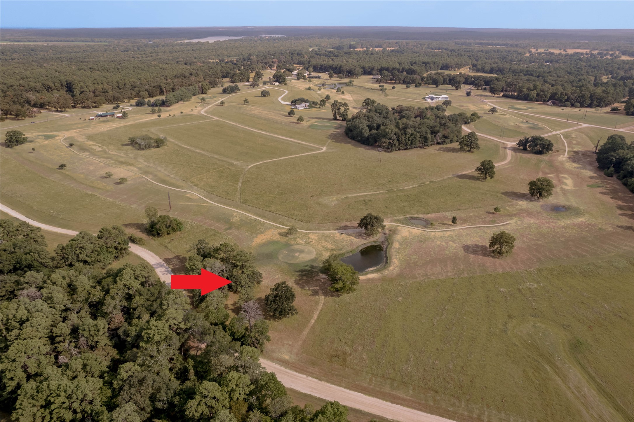 Lot 2 Charleston Street Trinity, TX 75862 - Photo 4 of 25
