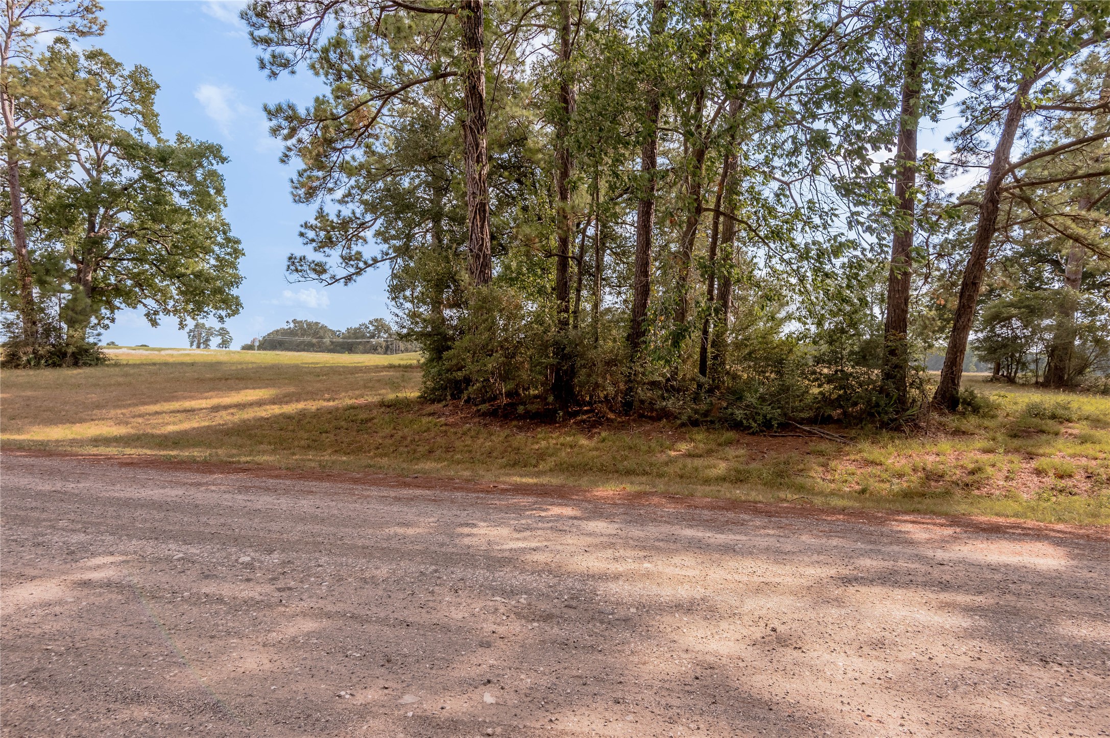 Lot 2 Charleston Street Trinity, TX 75862 - Photo 5 of 25