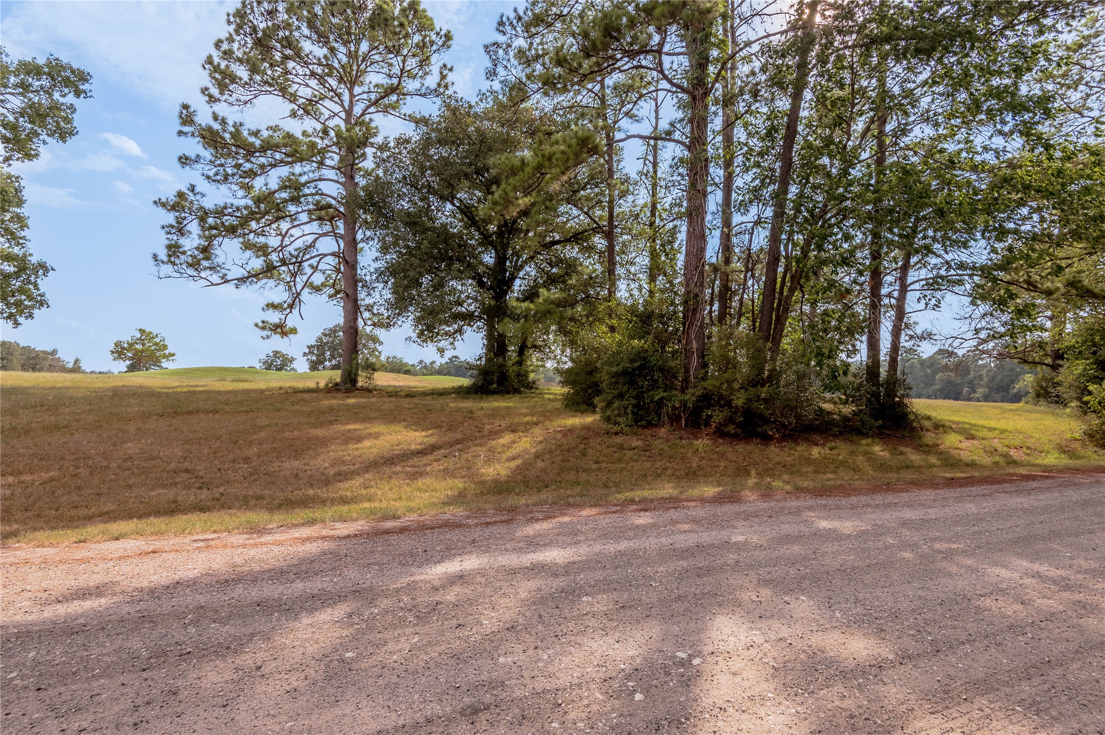 Lot 2 Charleston Street Trinity, TX 75862 - Photo 6 of 25