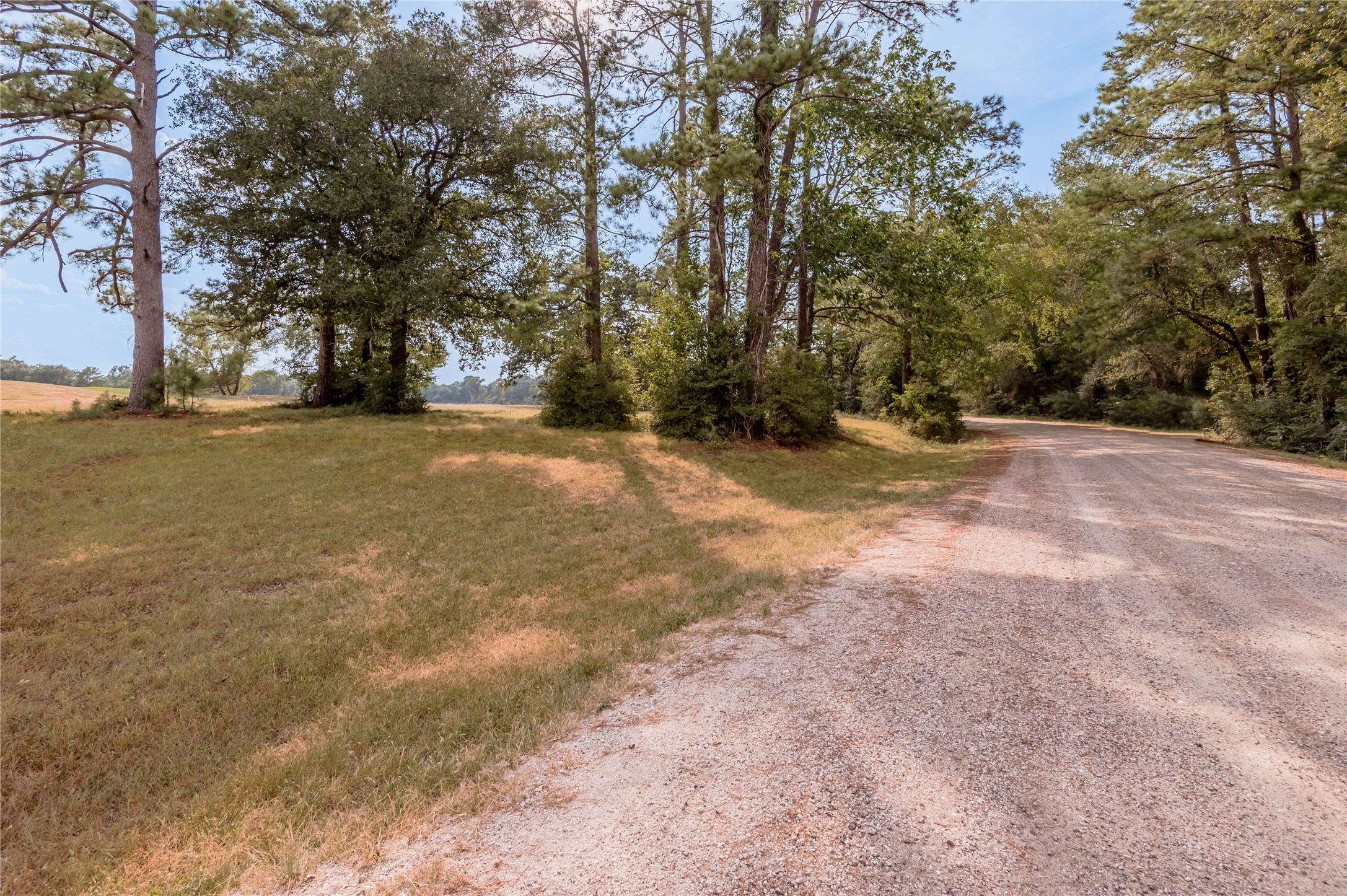 Lot 2 Charleston Street Trinity, TX 75862 - Photo 7 of 25