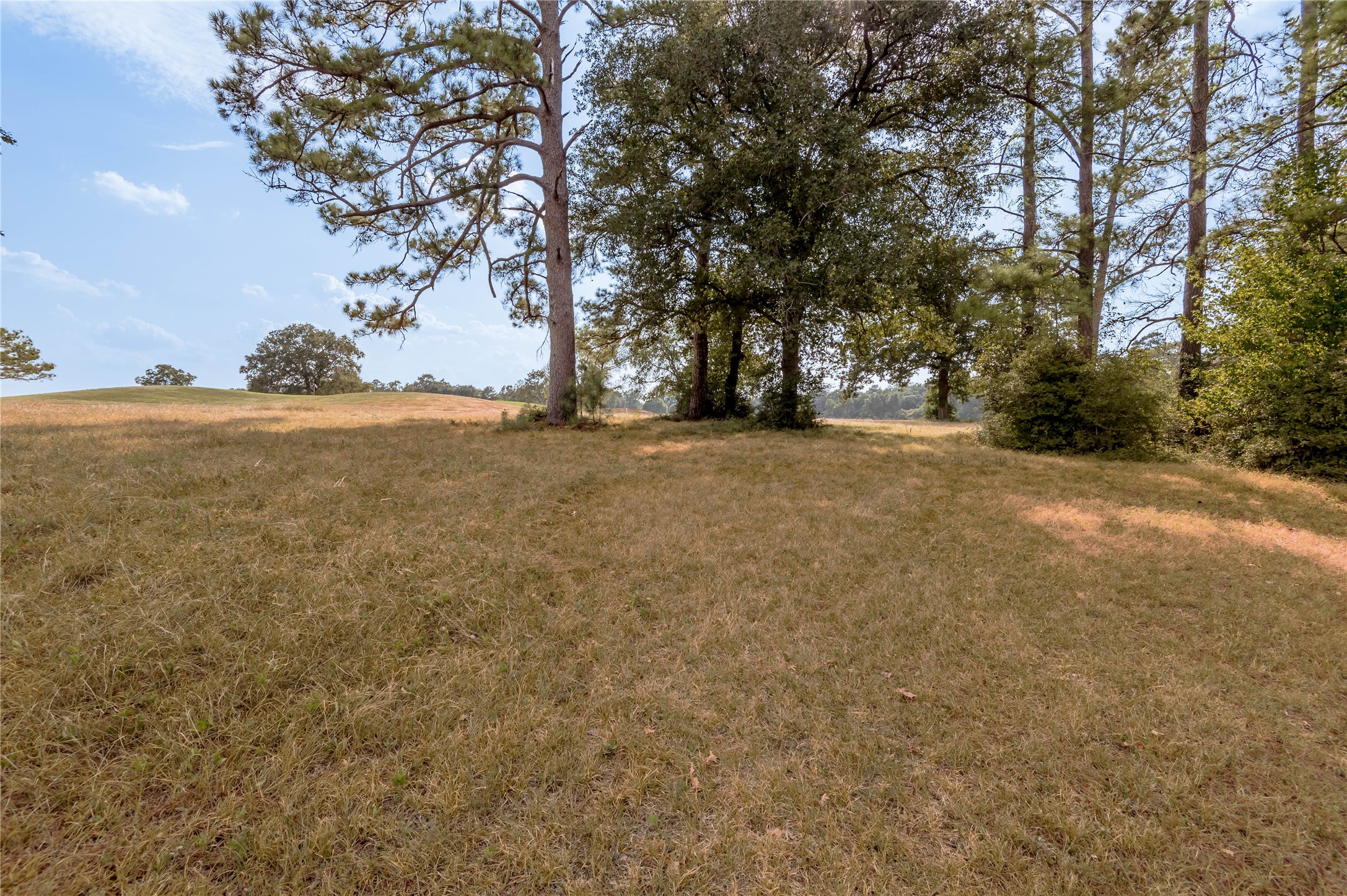 Lot 2 Charleston Street Trinity, TX 75862 - Photo 8 of 25