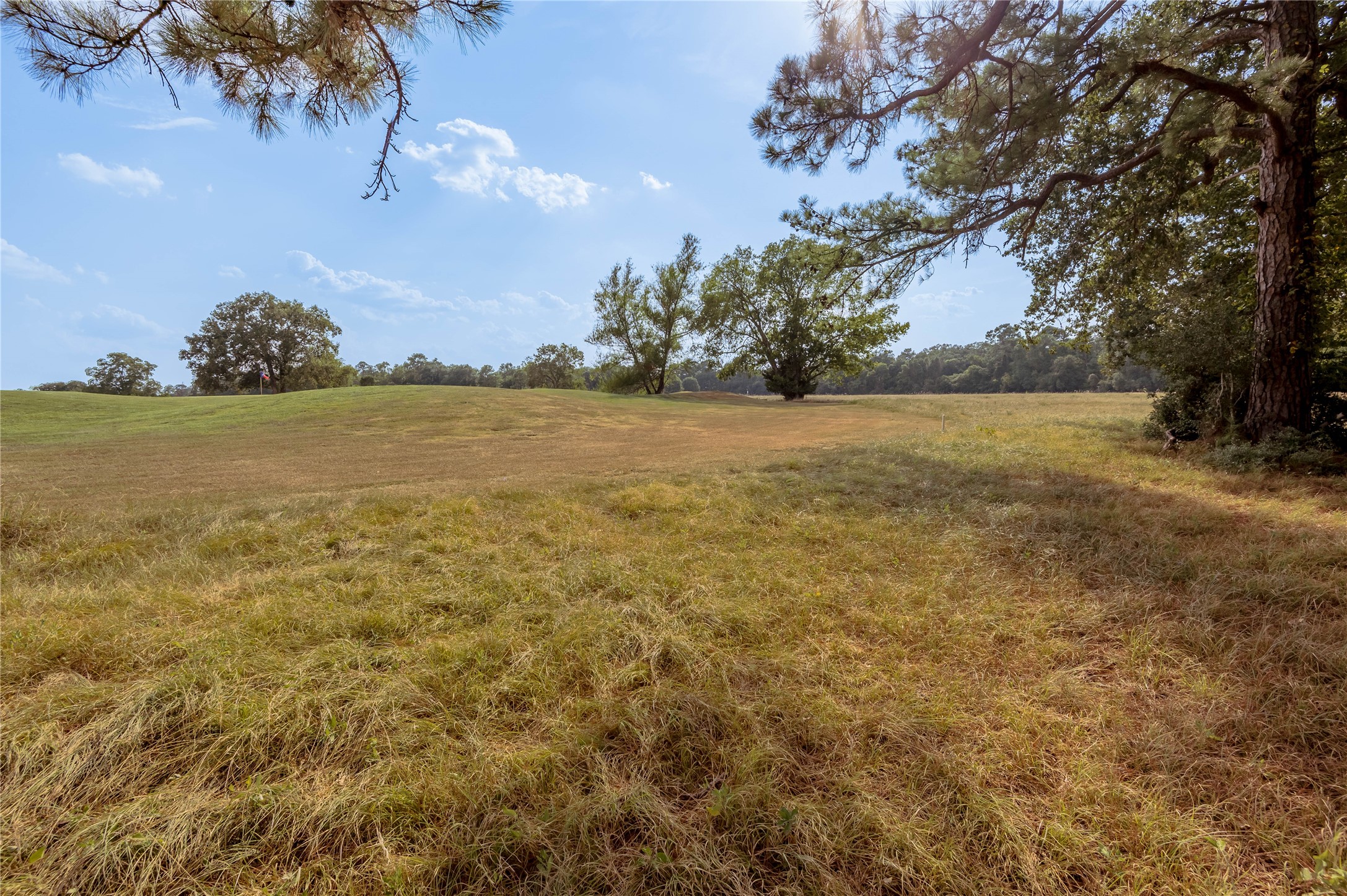 Lot 2 Charleston Street Trinity, TX 75862 - Photo 9 of 25
