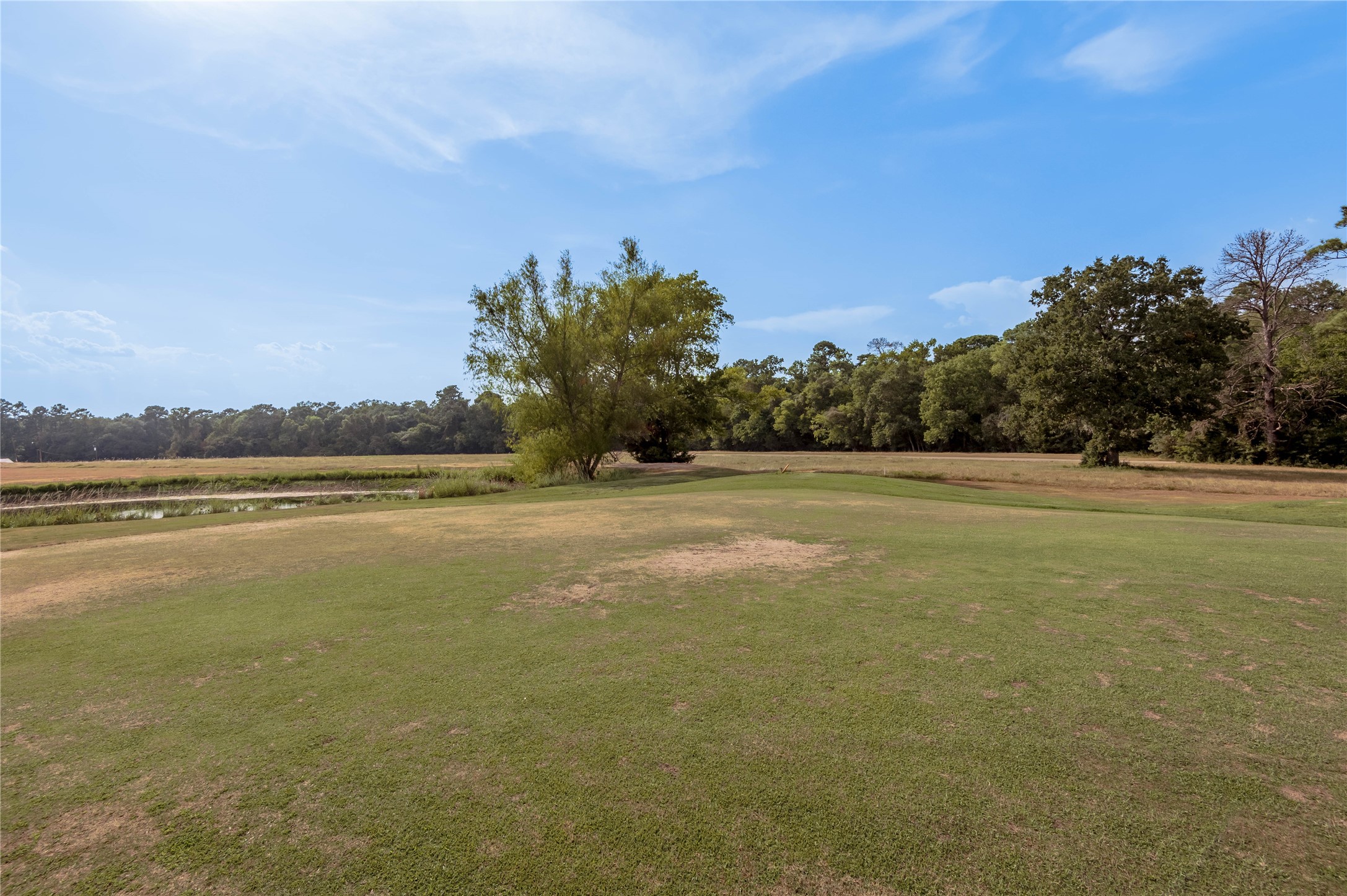 Lot 2 Charleston Street Trinity, TX 75862 - Photo 10 of 25