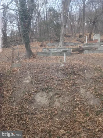 a view of empty yard with trees