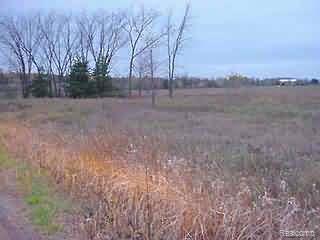 6495 Cyclone Road Otter Lake, MI 48464 - Photo 1 of 1 Property Photo