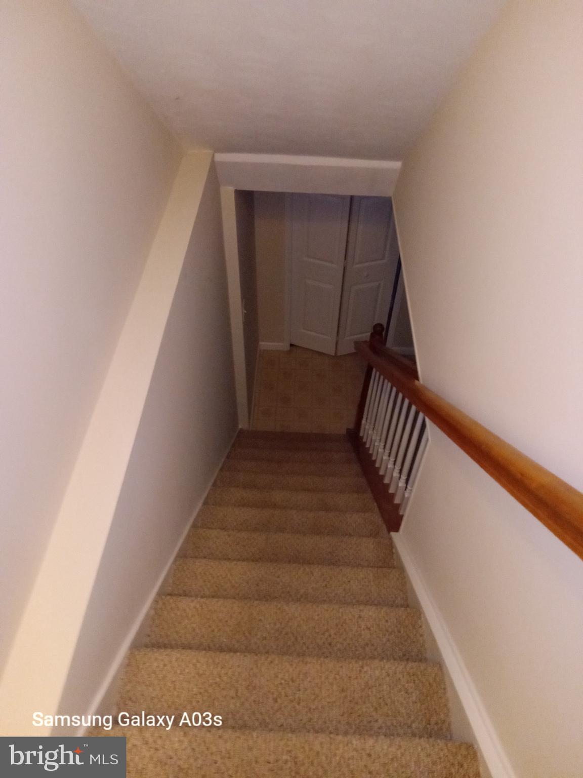 6398 Shaundale Drive Springfield, VA 22152 - Photo 19 of 19 Down stairs case