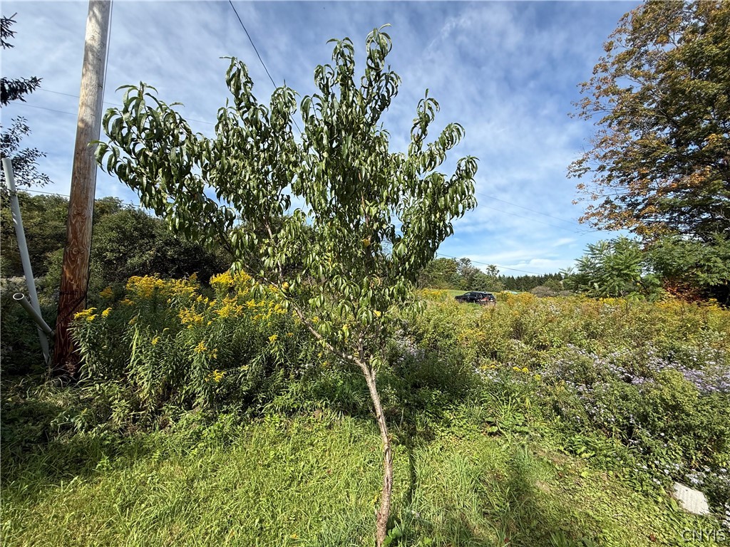 660 Lake Como Road Summerhill, NY 13045 - Photo 21 of 28 Gallery Image 21