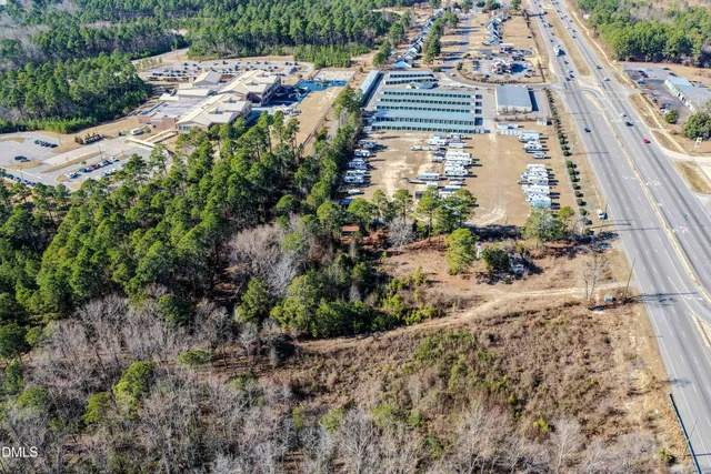 a view of a garden with a tree