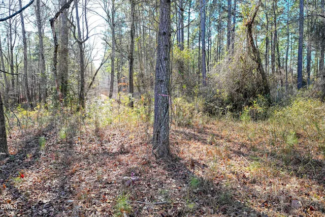 a view of a outdoor space