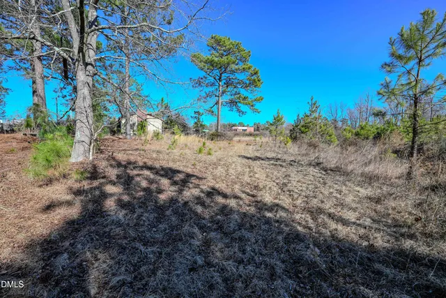 a view of backyard with green space