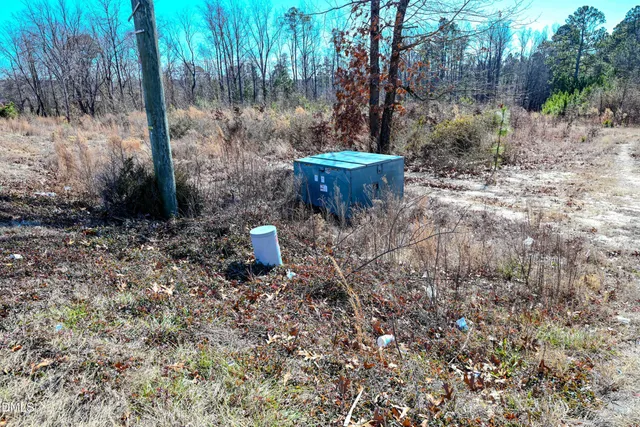 a small pool with a tree in the background