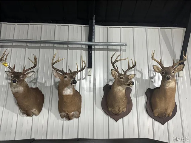 $699,000 | 0 Knox Road, Marceline, MO 64658