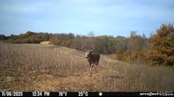 $655,500 | 0 Knox Road, Marceline, MO 64658