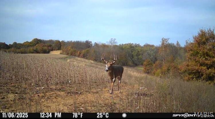 0 Knox Road Marceline, MO 64658 - Photo 4 of 36