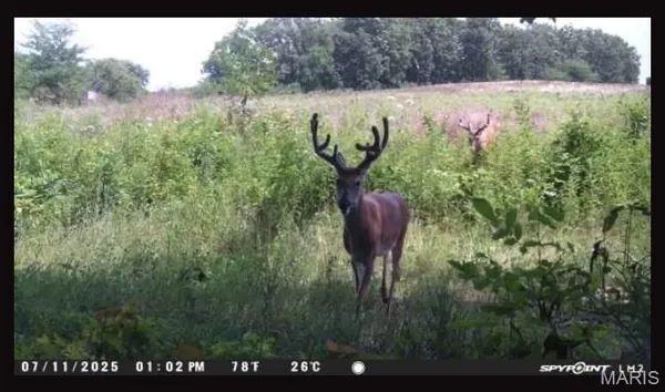 $655,500 | 0 Knox Road, Marceline, MO 64658