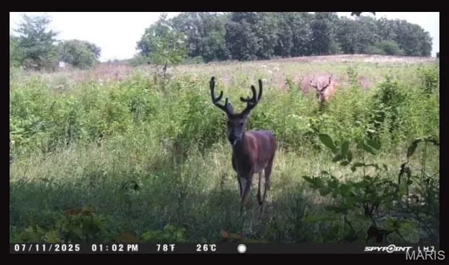 $699,000 | 0 Knox Road, Marceline, MO 64658