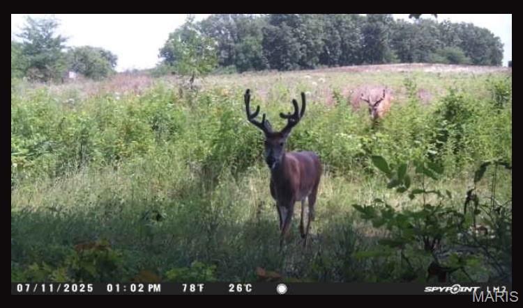 0 Knox Road Marceline, MO 64658 - Photo 5 of 36