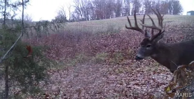 $718,750 | 0 Knox Road, Marceline, MO 64658