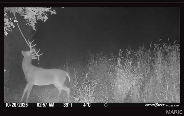 $655,500 | 0 Knox Road, Marceline, MO 64658