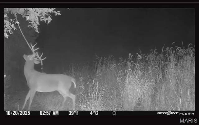 $699,000 | 0 Knox Road, Marceline, MO 64658