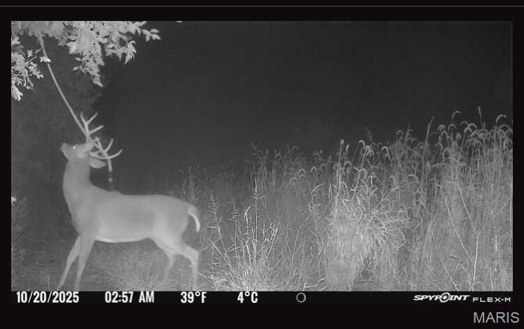 0 Knox Road Marceline, MO 64658 - Photo 6 of 36