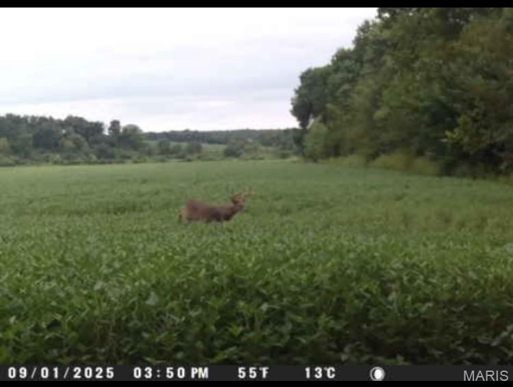 0 Knox Road Marceline, MO 64658 - Photo 7 of 36