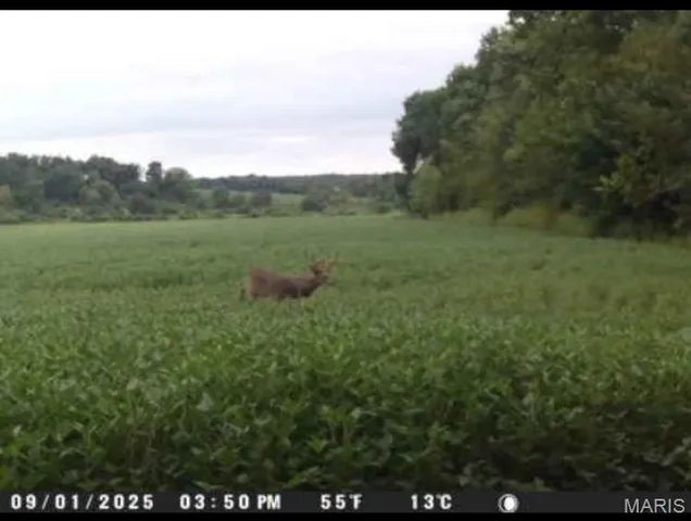 $718,750 | 0 Knox Road, Marceline, MO 64658