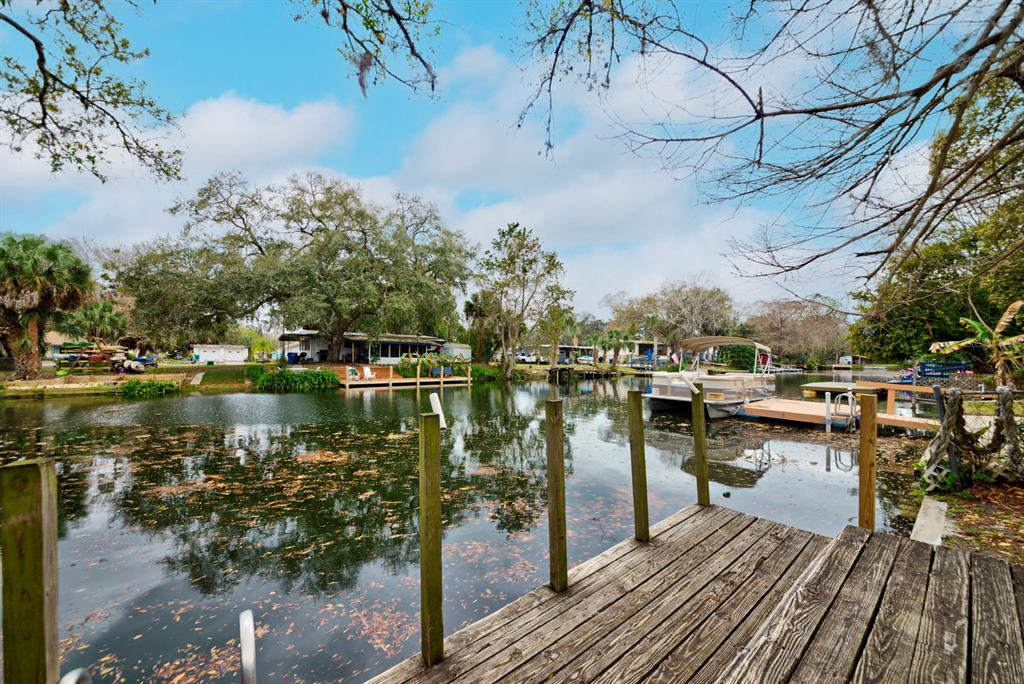 6427 West Richard Drive Weeki Wachee, FL 34607 - Photo 24 of 35 a view of river covered by trees and buildings