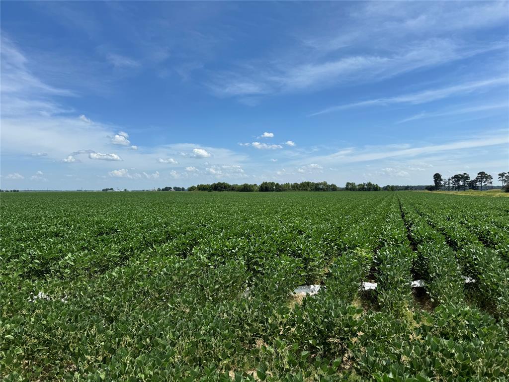 9434 33 N Highway Roe, AR 72134 - Photo 11 of 39 a view of a large yard with lots of green space