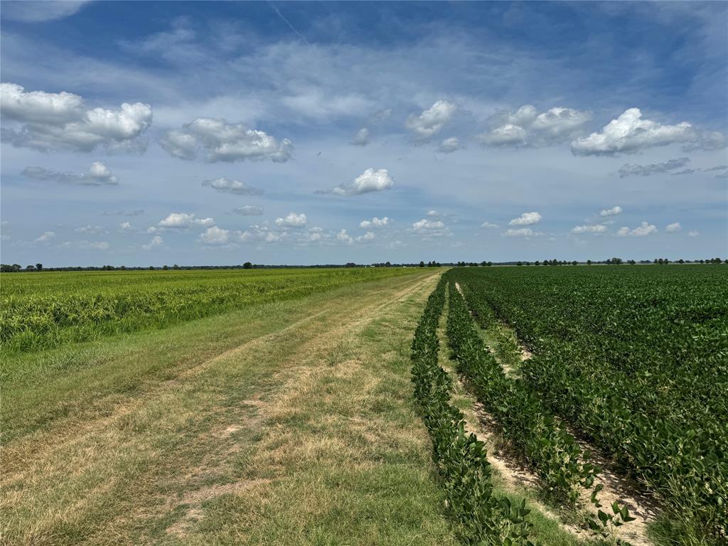 9434 33 N Highway Roe, AR 72134 - Photo 12 of 39 a view of yard with outdoor space