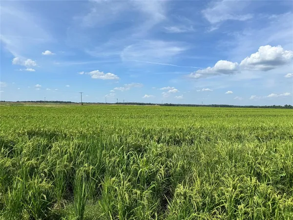 a view of a green field with lots of green space