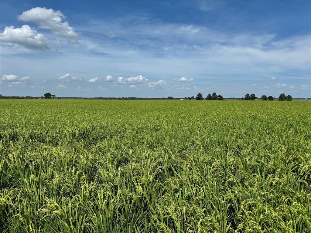 9434 33 N Highway Roe, AR 72134 - Photo 14 of 39 a view of a yard and mountain