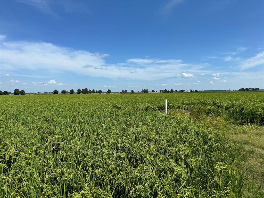 9434 33 N Highway Roe, AR 72134 - Photo 15 of 39 a view of a green field with lots of green space