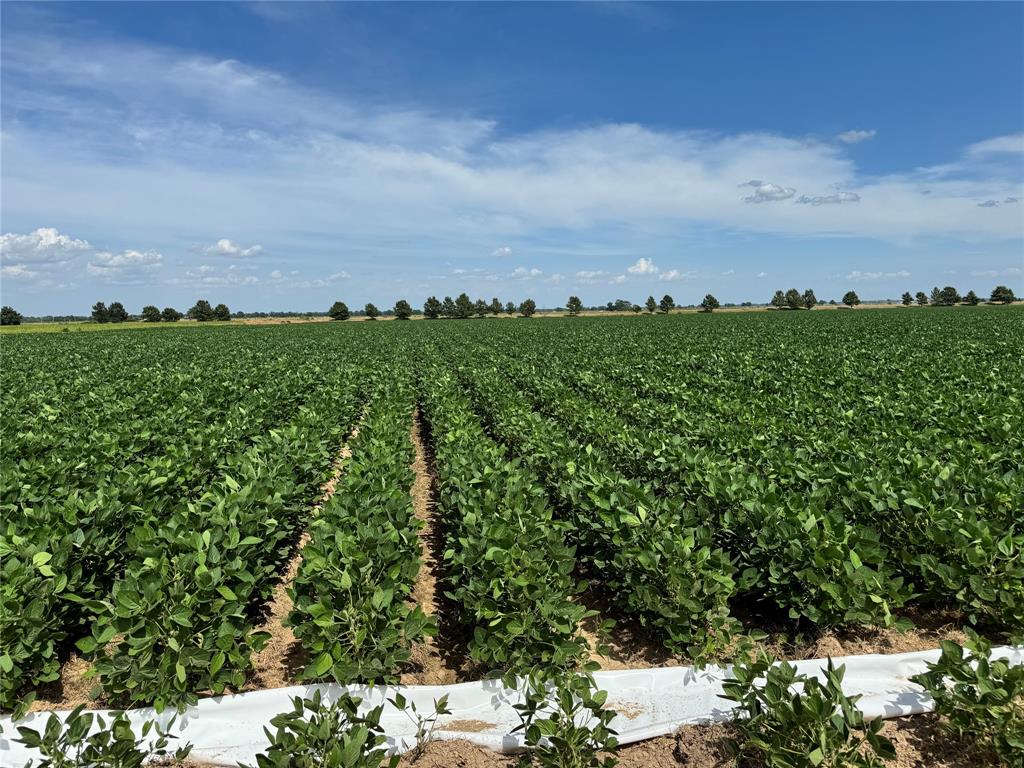 9434 33 N Highway Roe, AR 72134 - Photo 16 of 39 a view of a bunch of trees and houses