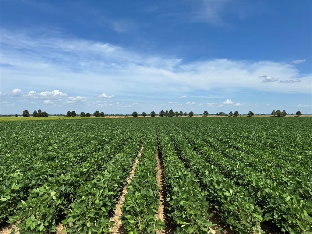 9434 33 N Highway Roe, AR 72134 - Photo 17 of 39 an aerial view of a houses with a yard