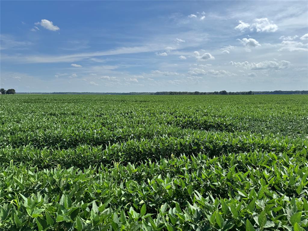 9434 33 N Highway Roe, AR 72134 - Photo 19 of 39 a view of yard with swimming pool and green space