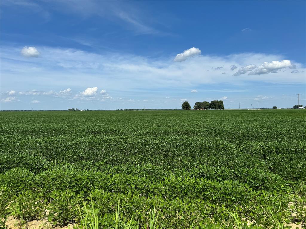 9434 33 N Highway Roe, AR 72134 - Photo 23 of 39 a view of a big yard