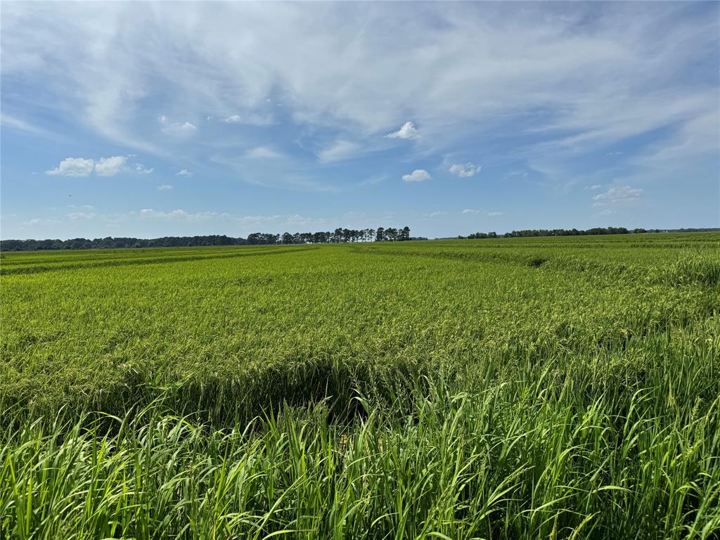 9434 33 N Highway Roe, AR 72134 - Photo 24 of 39 a view of a big yard