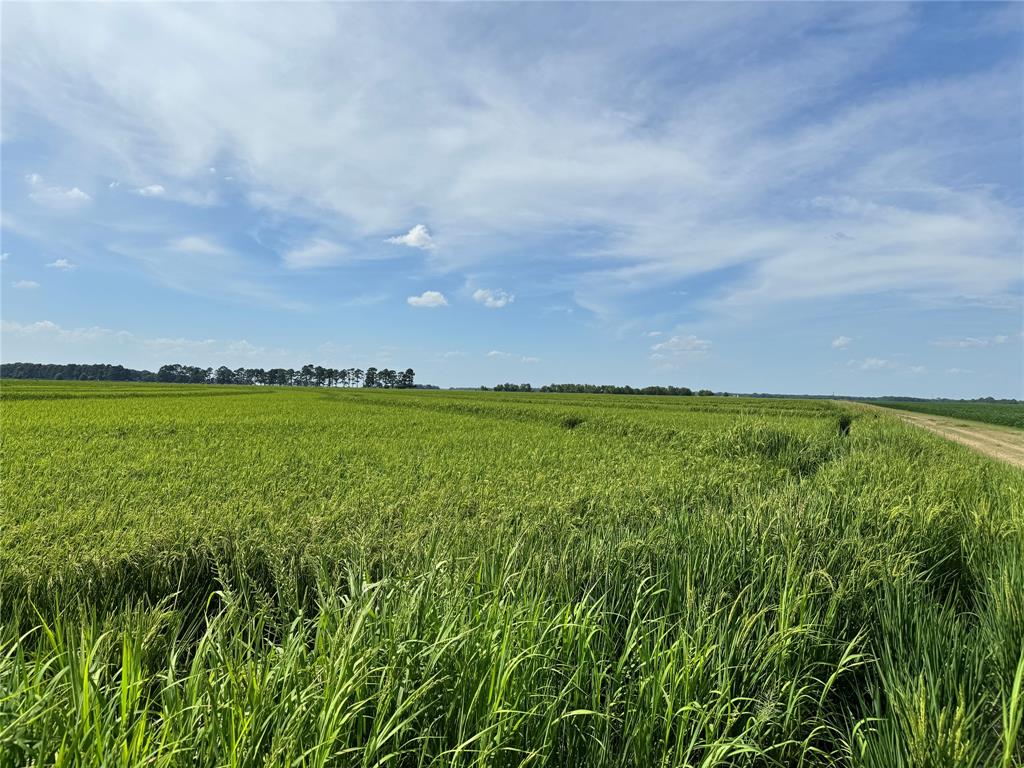 9434 33 N Highway Roe, AR 72134 - Photo 25 of 39 a view of yard and ocean