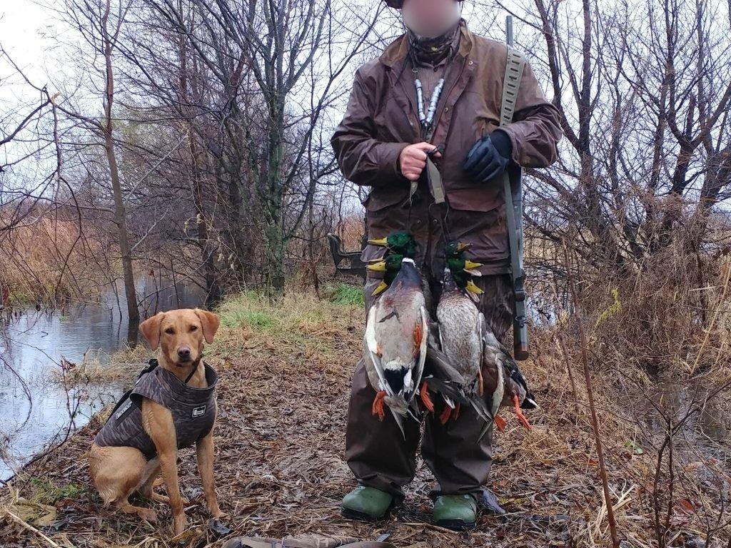 9434 33 N Highway Roe, AR 72134 - Photo 31 of 39 a view of a house with a yard and a tree