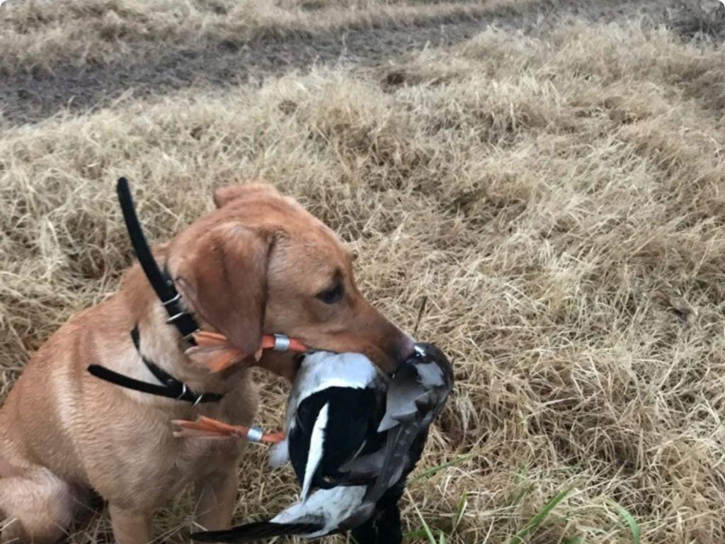 9434 33 N Highway Roe, AR 72134 - Photo 36 of 39 a view of entryway