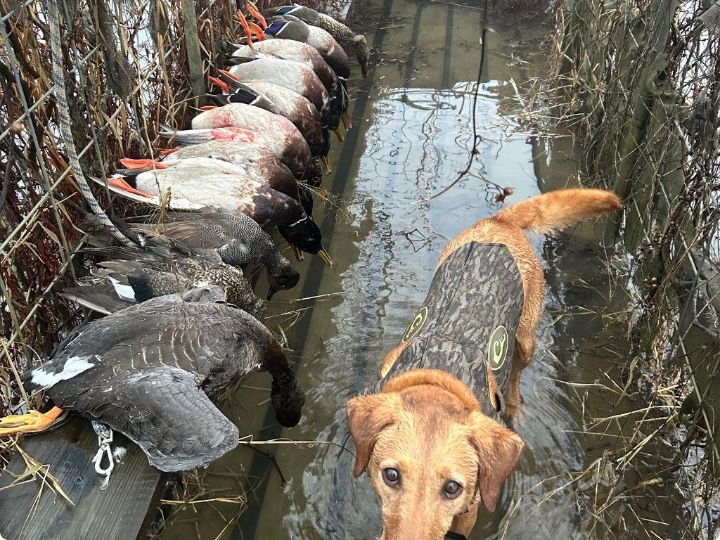 9434 33 N Highway Roe, AR 72134 - Photo 38 of 39 a backyard of a house with table and chairs