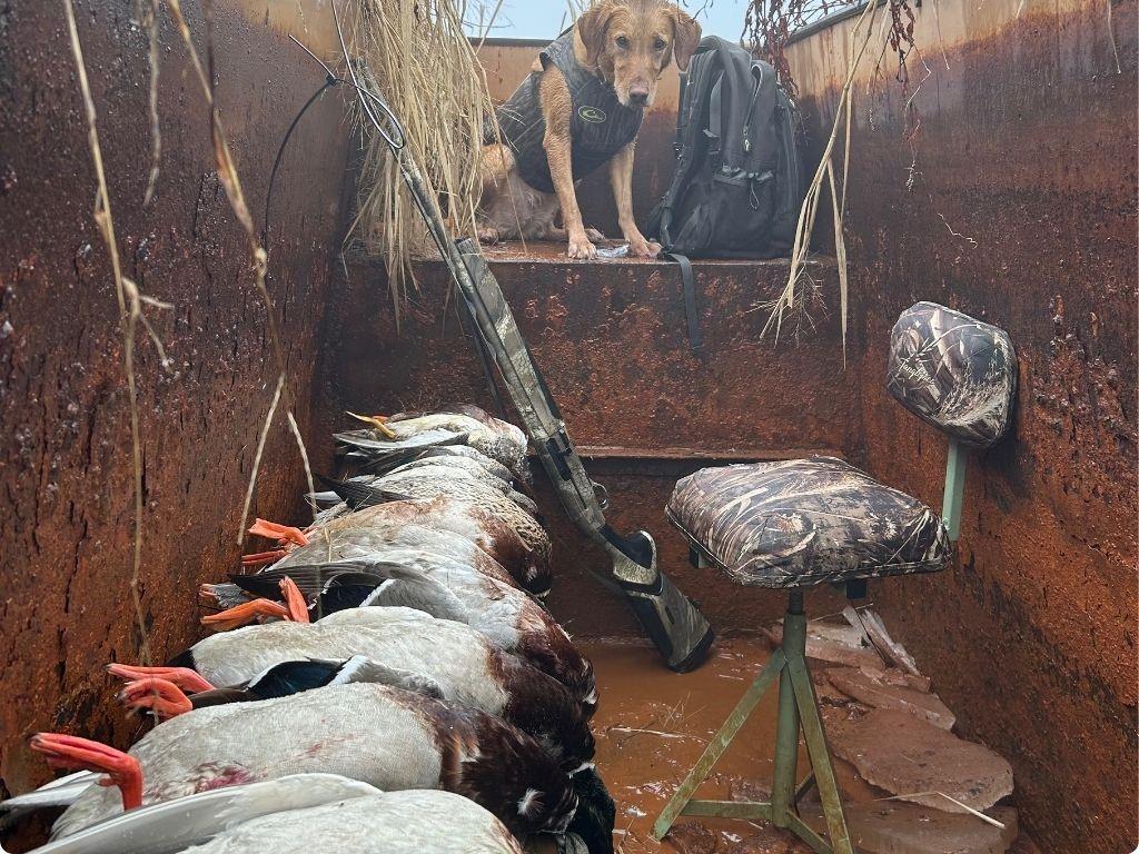 9434 33 N Highway Roe, AR 72134 - Photo 39 of 39