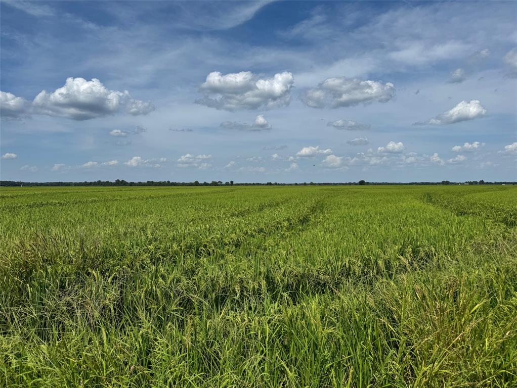 9434 33 N Highway Roe, AR 72134 - Photo 10 of 39 a view of a big yard