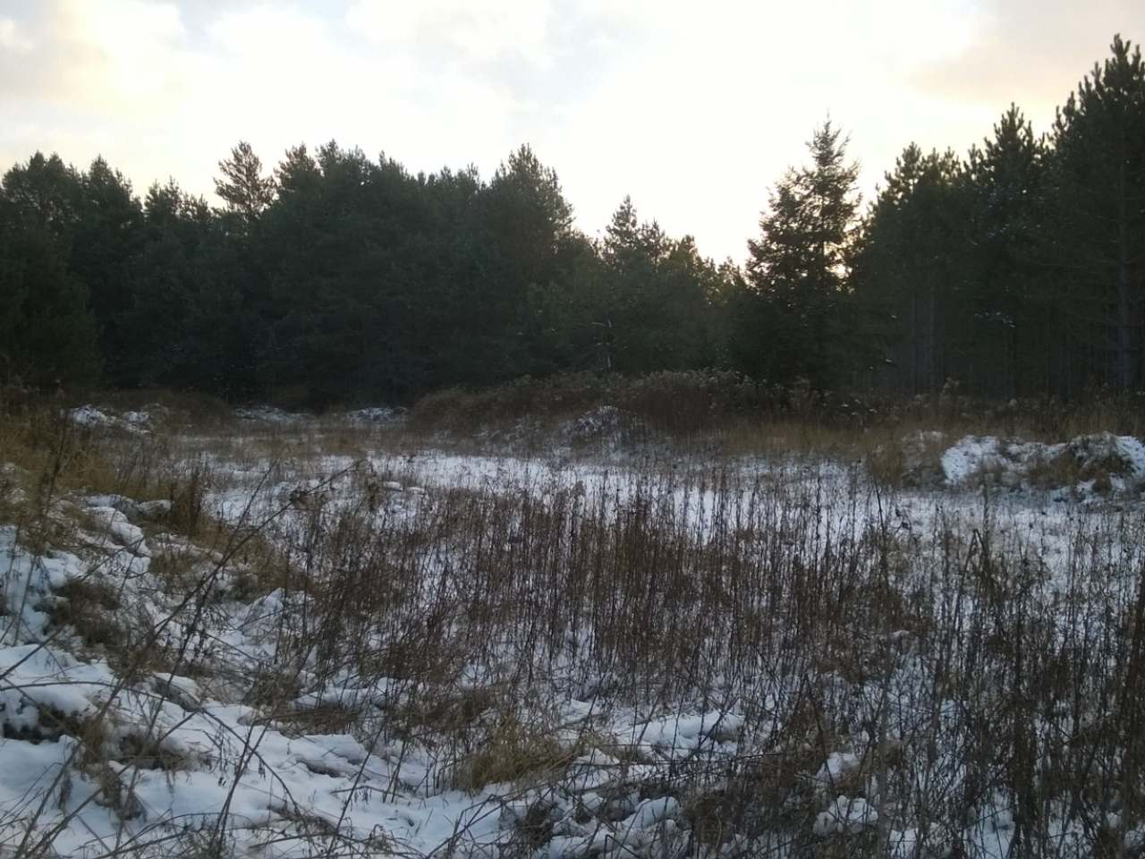 2291 Pergande Road Rhinelander, WI 54501 - Photo 3 of 14 Gallery Image 3