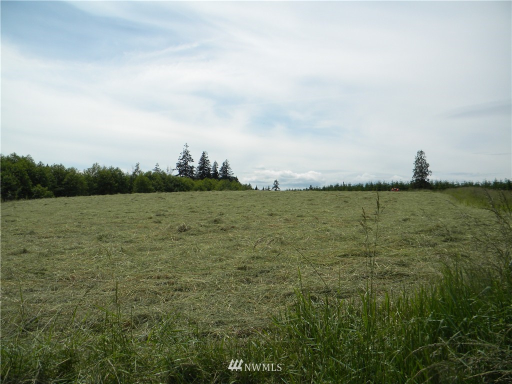 547 North Military Road Winlock, WA 98596 - Photo 1 of 3