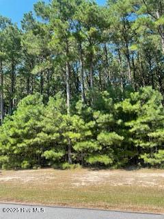449 Riversound Drive Edenton, NC 27932 - Photo 6 of 12 RS449-5