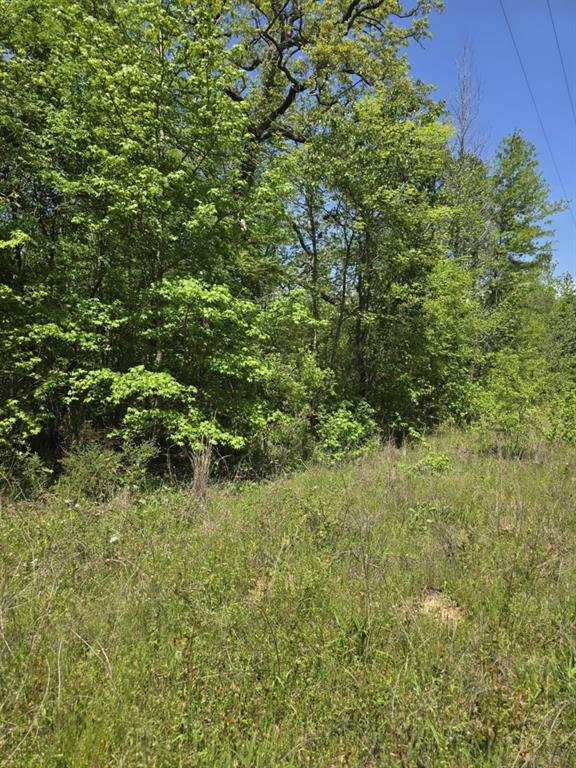 421 County Road 421 Tyler, TX 75704 - Photo 12 of 17 a view of a garden