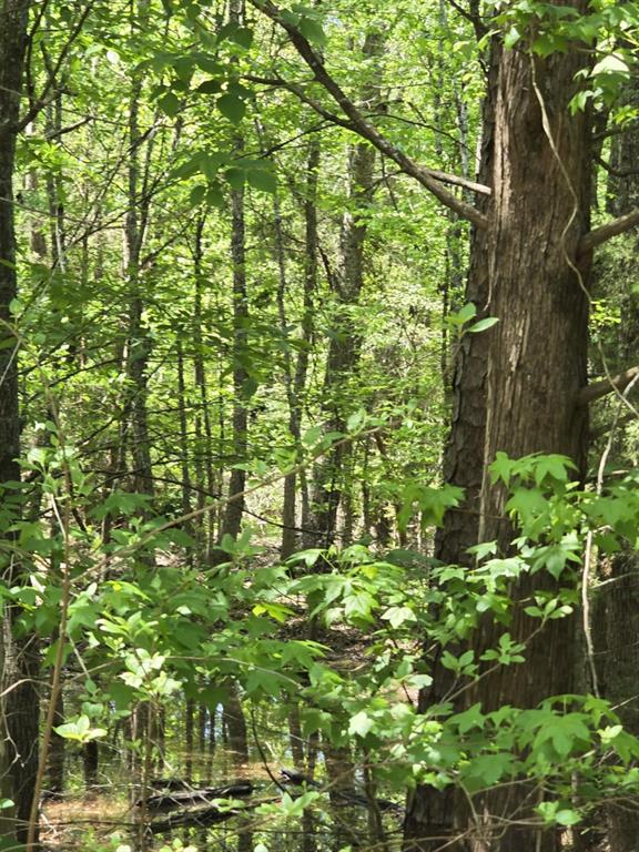 421 County Road 421 Tyler, TX 75704 - Photo 2 of 17 a backyard of a building with lots of green space